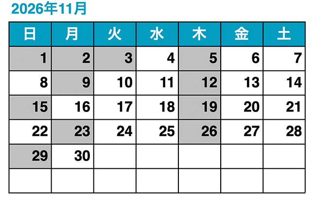2026年11月